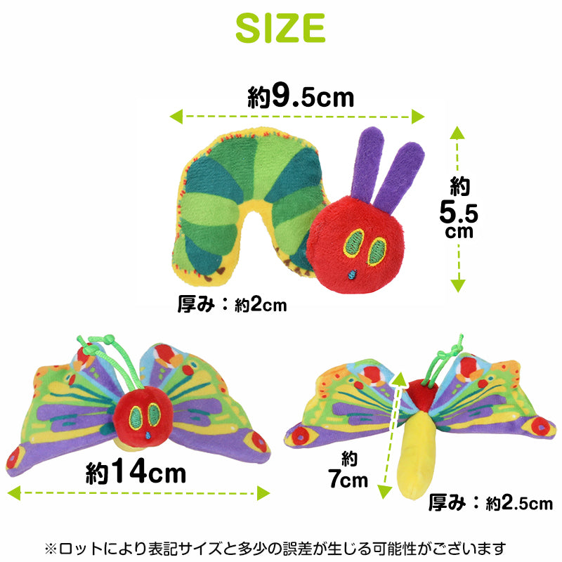 あおむし＆バタフライ