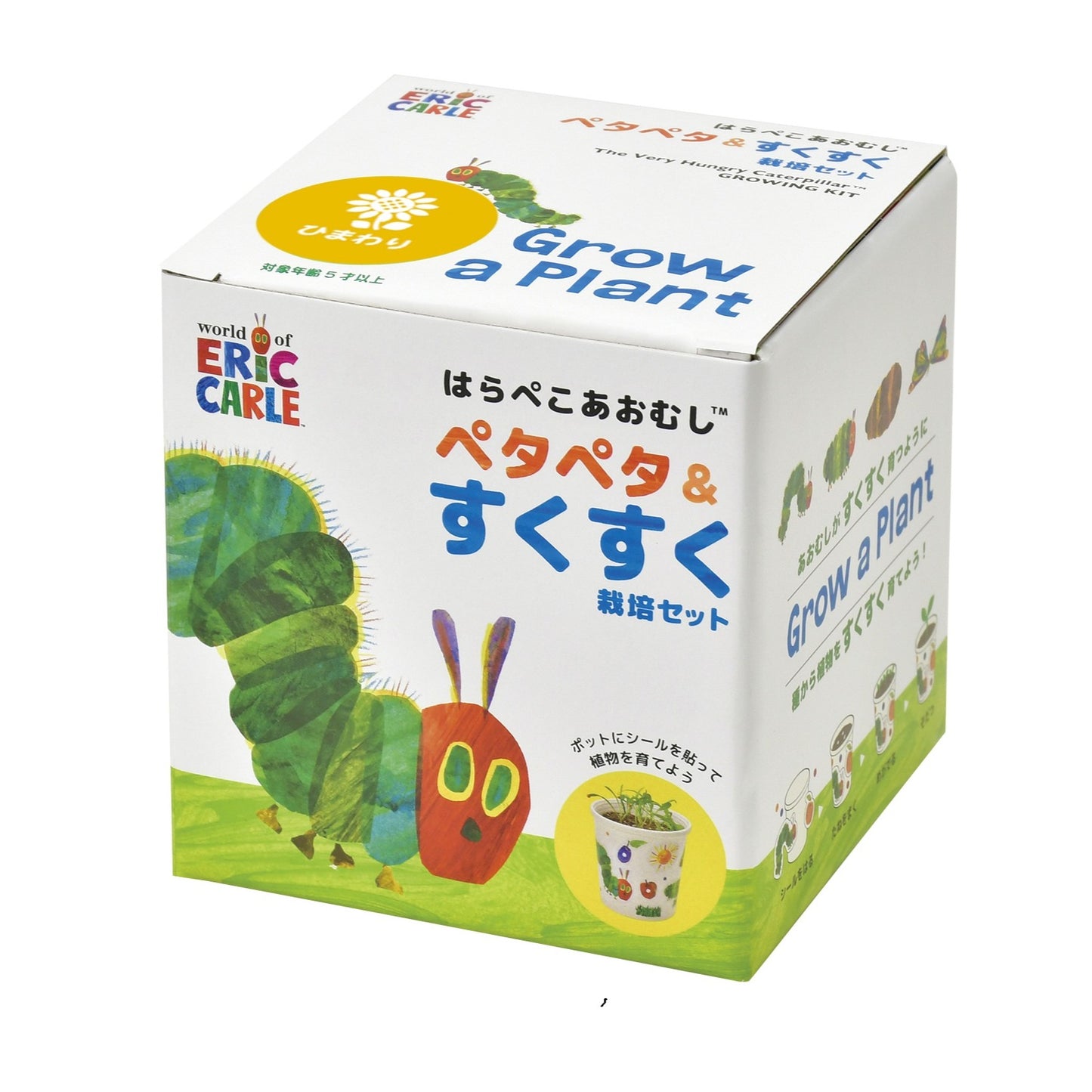 ペタペタ＆スクスク栽培セット【ミニヒマワリ】