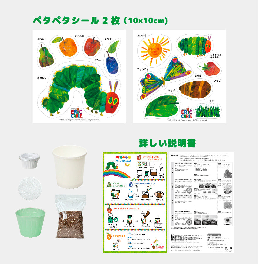 ペタペタ＆スクスク栽培セット【ミニヒマワリ】