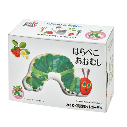 わくわく陶器ポットガーデン ワイルドストロベリー